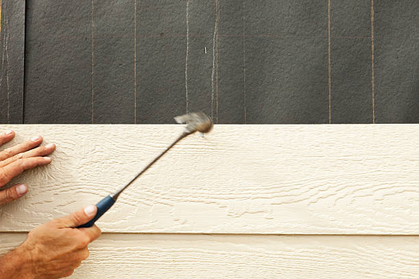 Affordable Siding Repair and Maintenance Services in Crow Agency, MT
